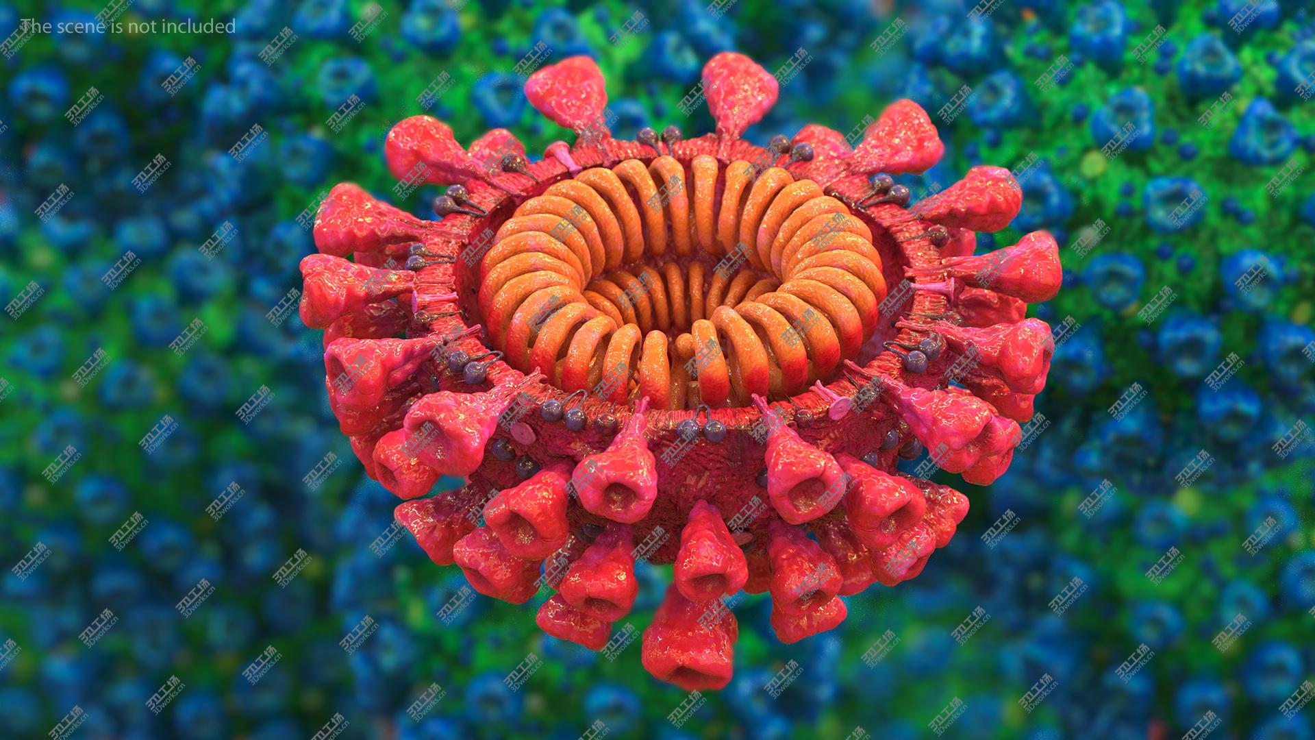 images/goods_img/20210313/Coronavirus 2019-nCoV SARS-CoV-2 Cross Section 3D/4.jpg
